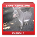 caps yapma android application logo